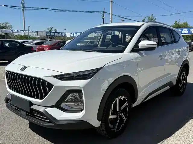 Sihao X8 2021 300T Manual Panoramic Luxury Edition 5-Seater