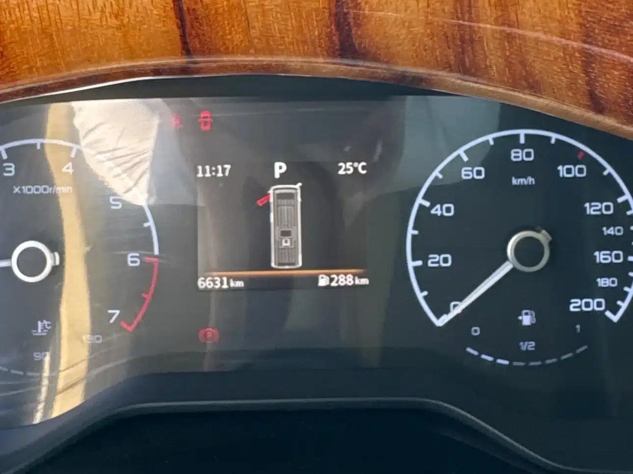 Hongqi Golden Sunflower Guoyue 2025 Model 3.0T 6-Seater — миниатюра 10