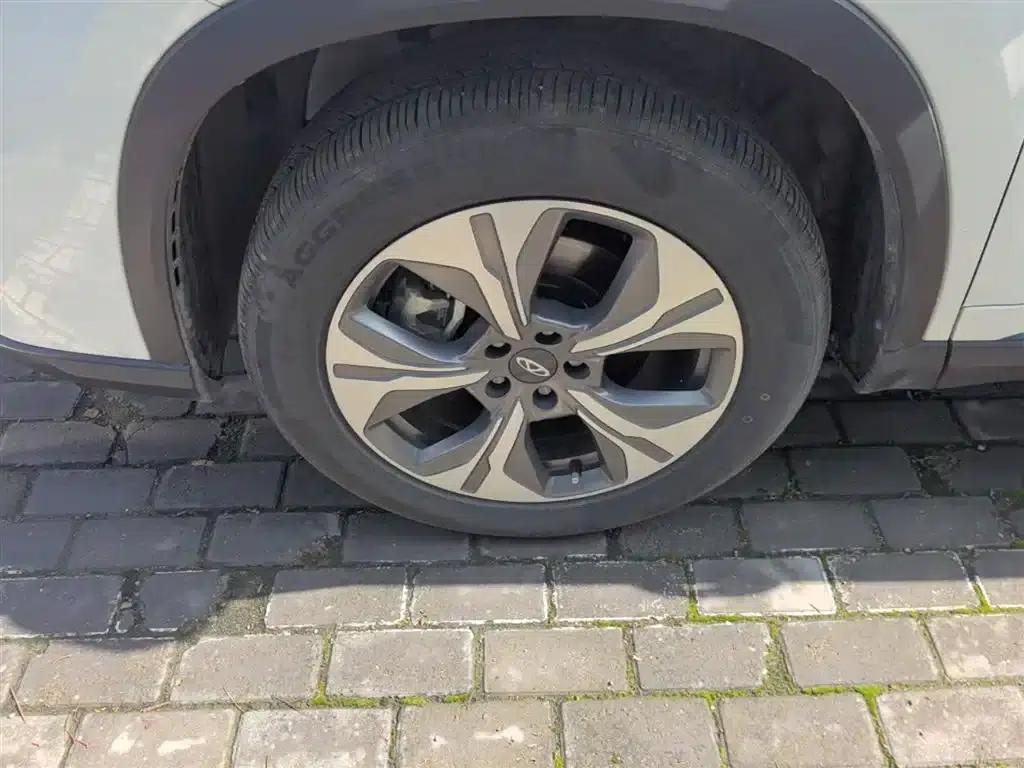 Chery Tiggo 8 PRO PHEV 2023 Champion Edition 1.5T 100km King Edition — миниатюра 23