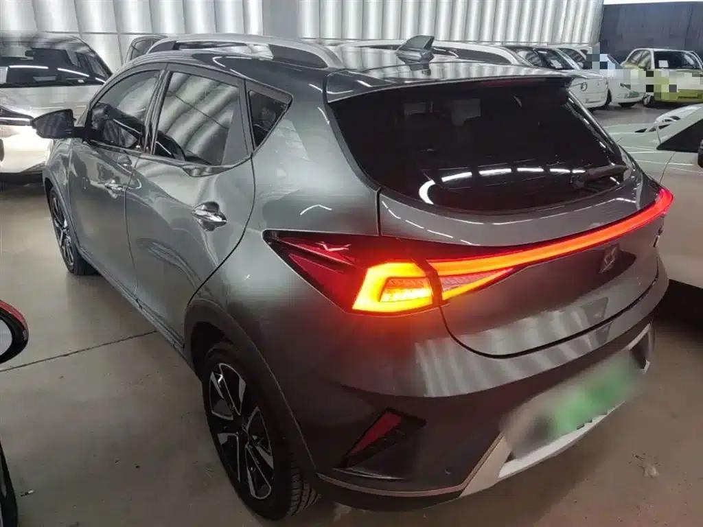 Sihao E20X 2020 Extraordinary Edition — миниатюра 5