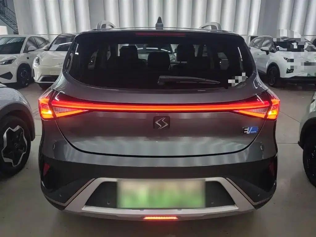 Sihao E20X 2020 Extraordinary Edition — миниатюра 6