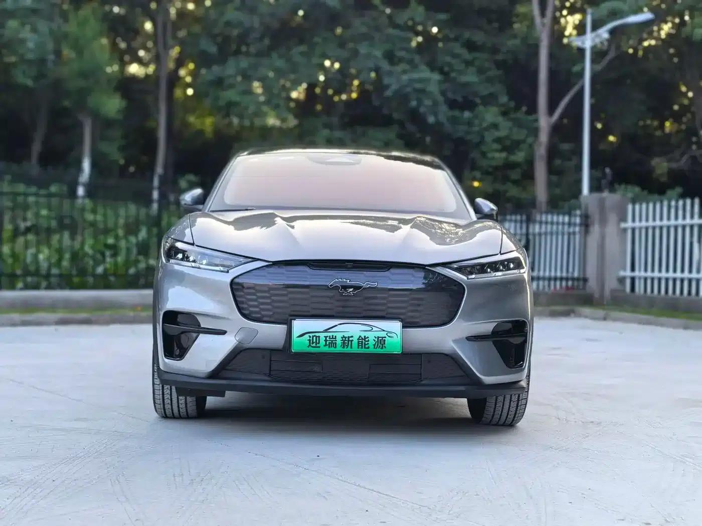 Ford Electric 2021 Model X Rear-Wheel Drive Standard Range — миниатюра 2