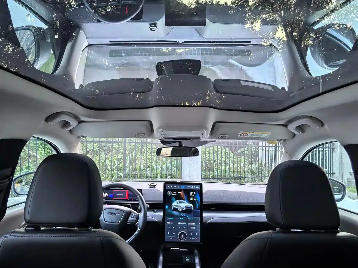 Ford Electric 2021 Model X Rear-Wheel Drive Standard Range — миниатюра 15