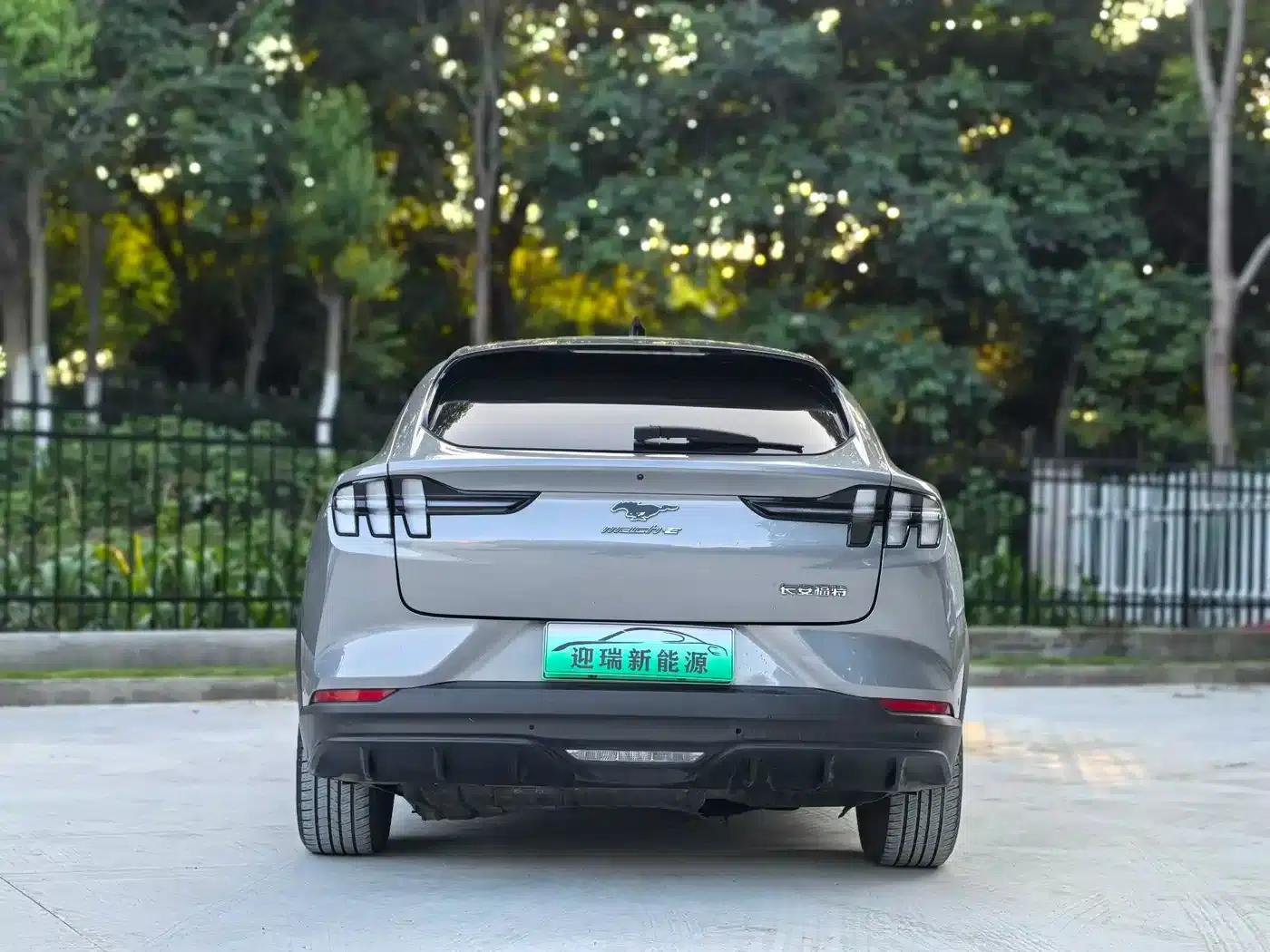 Ford Electric 2021 Model X Rear-Wheel Drive Standard Range — миниатюра 5