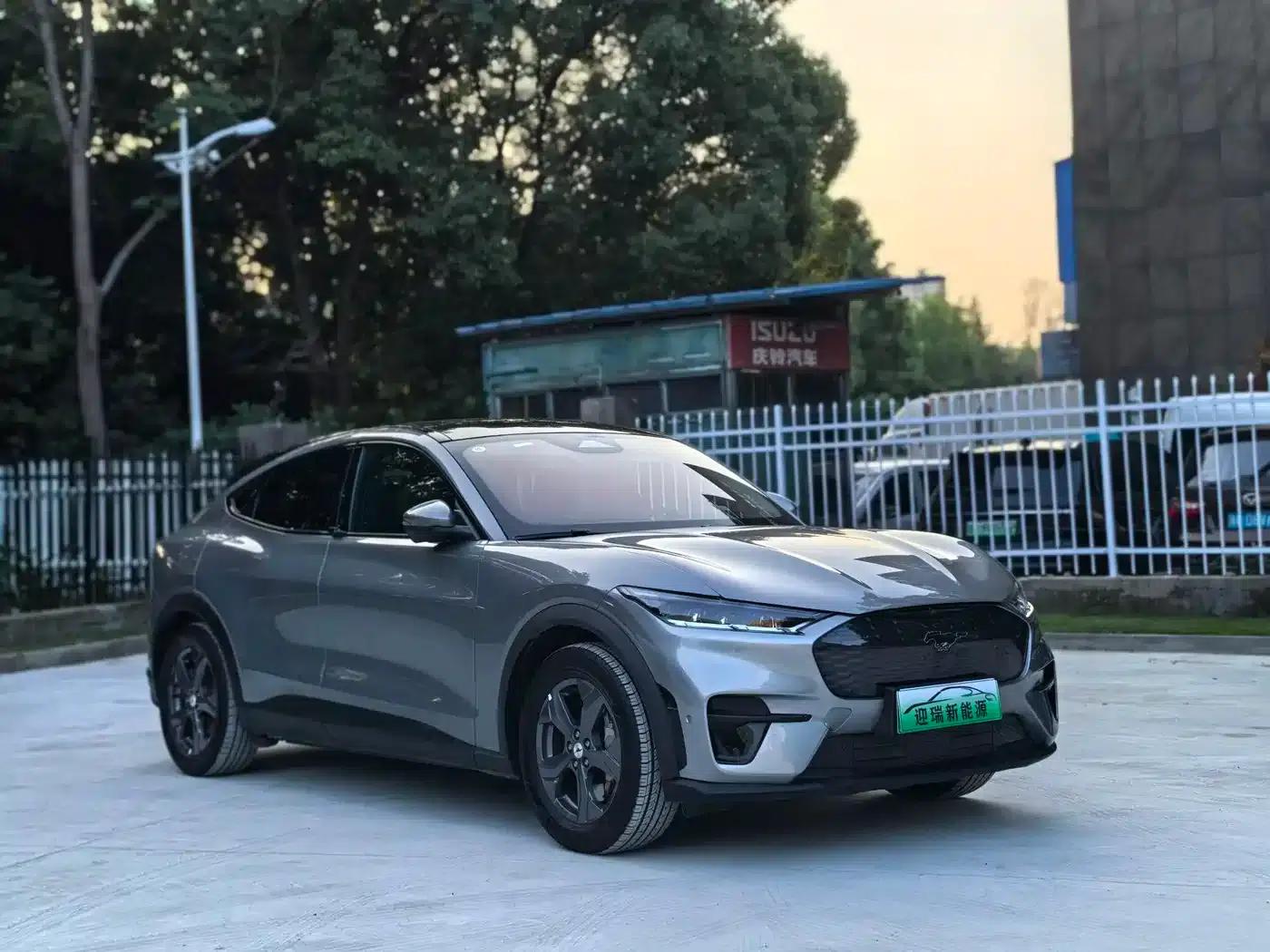Ford Electric 2021 Model X Rear-Wheel Drive Standard Range — миниатюра 6