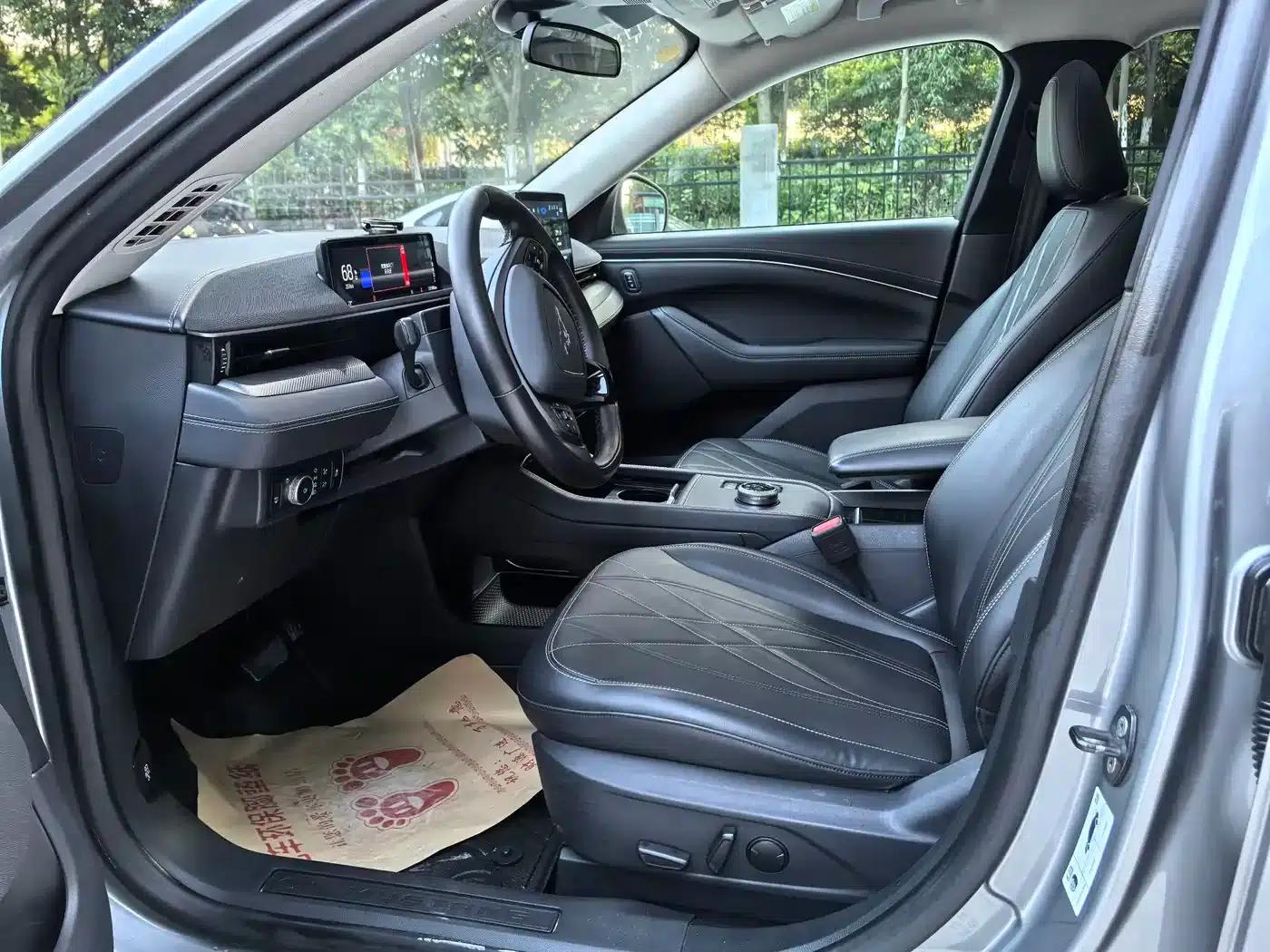 Ford Electric 2021 Model X Rear-Wheel Drive Standard Range — миниатюра 8