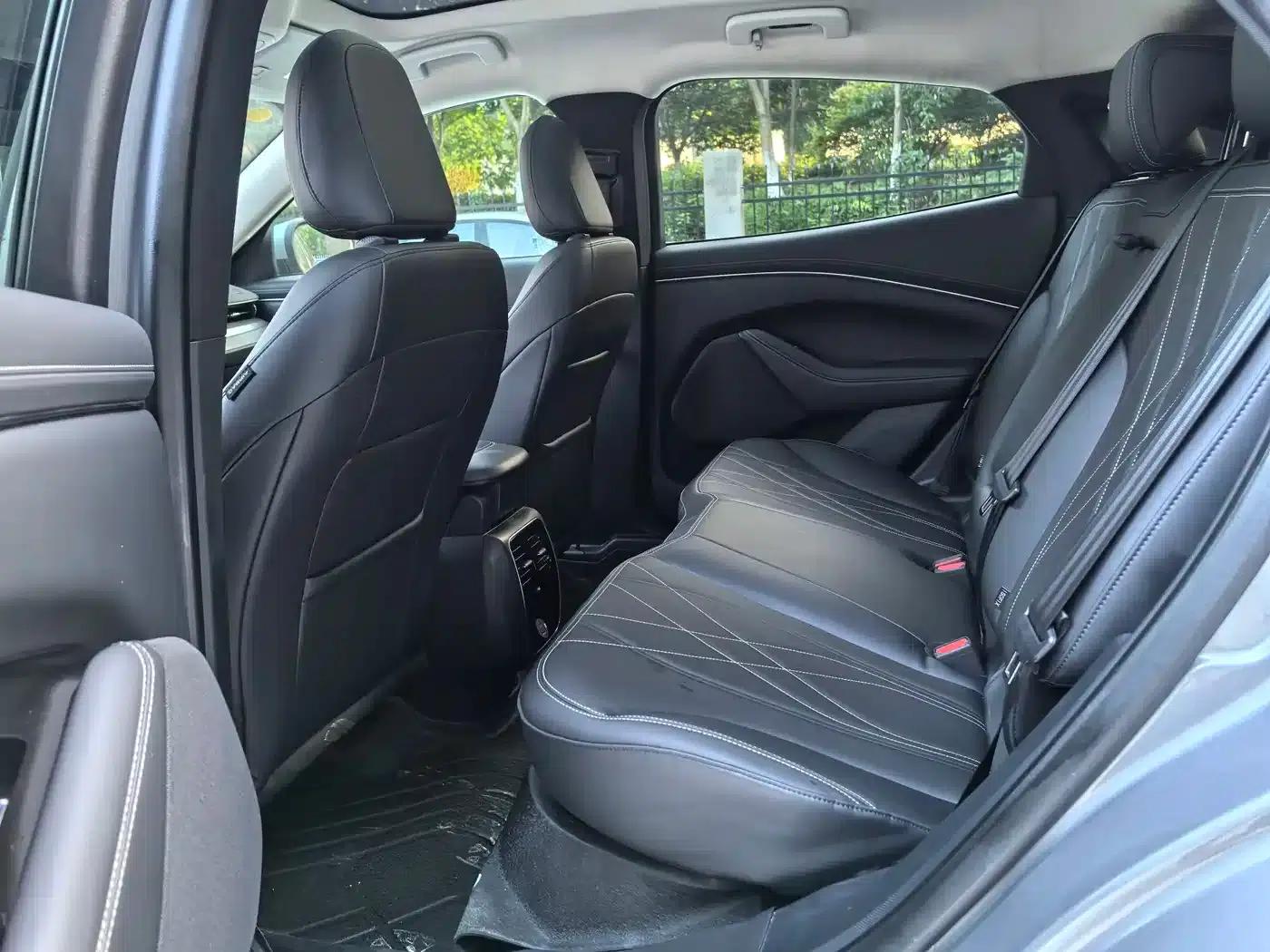 Ford Electric 2021 Model X Rear-Wheel Drive Standard Range — миниатюра 9