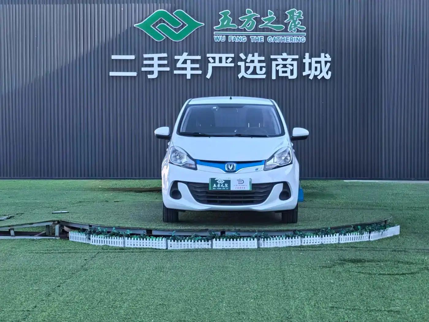 Benben EV 2017 Pure Electric Standard Model with 210km Range — миниатюра 2