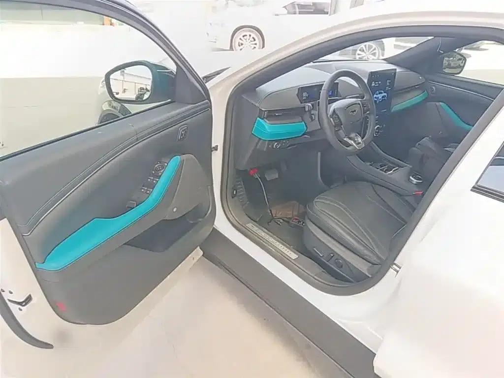 Ford eCar 2021 Model X Unlimited Rear-Wheel Drive Luxury Edition (Long Range) — миниатюра 16