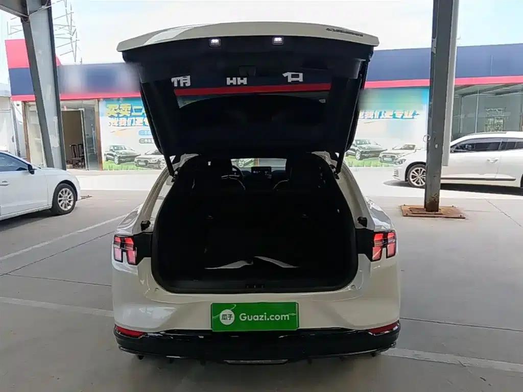 Ford eCar 2021 Model X Unlimited Rear-Wheel Drive Luxury Edition (Long Range) — миниатюра 19