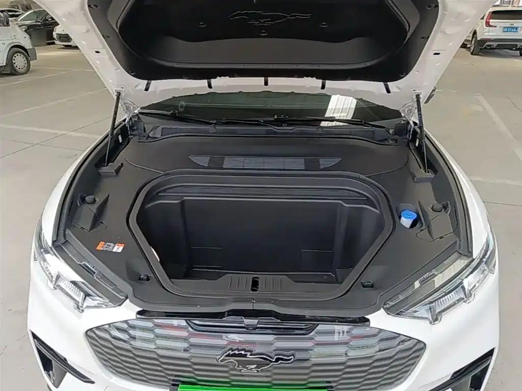 Ford eCar 2021 Model X Unlimited Rear-Wheel Drive Luxury Edition (Long Range) — миниатюра 20