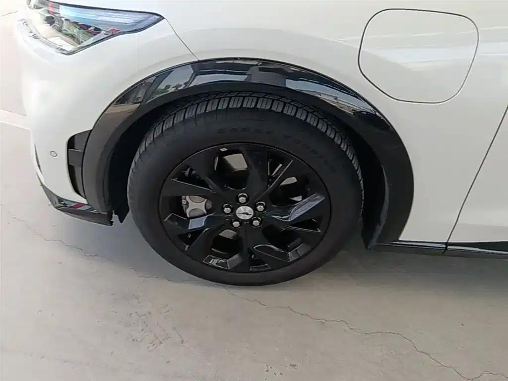 Ford eCar 2021 Model X Unlimited Rear-Wheel Drive Luxury Edition (Long Range) — миниатюра 23