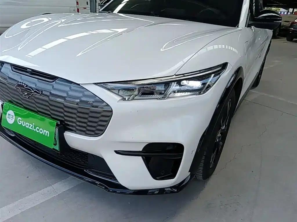 Ford eCar 2021 Model X Unlimited Rear-Wheel Drive Luxury Edition (Long Range) — миниатюра 24