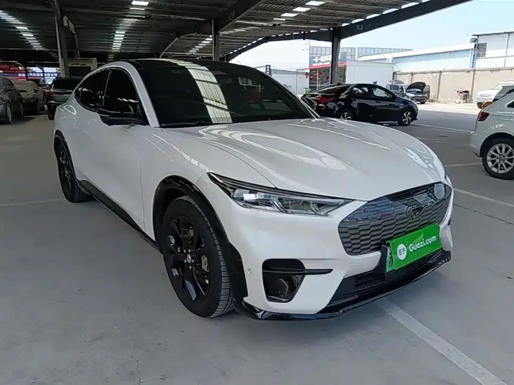 Ford eCar 2021 Model X Unlimited Rear-Wheel Drive Luxury Edition (Long Range) — миниатюра 4