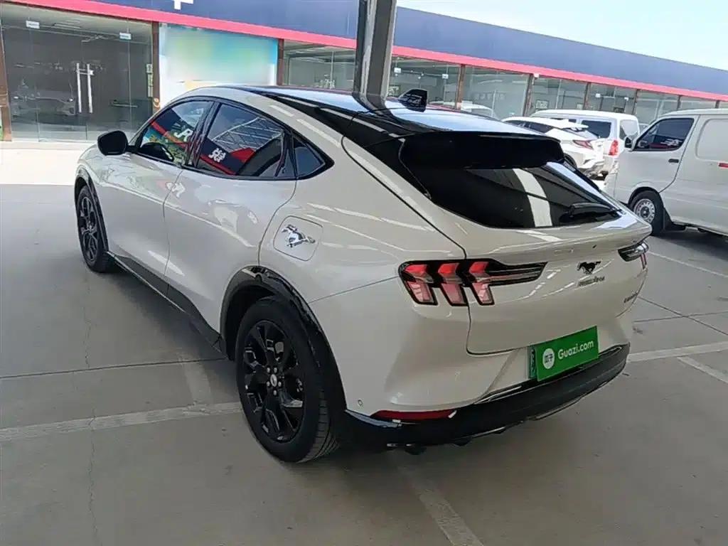 Ford eCar 2021 Model X Unlimited Rear-Wheel Drive Luxury Edition (Long Range) — миниатюра 5