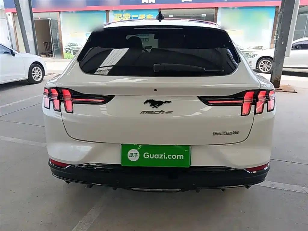 Ford eCar 2021 Model X Unlimited Rear-Wheel Drive Luxury Edition (Long Range) — миниатюра 6