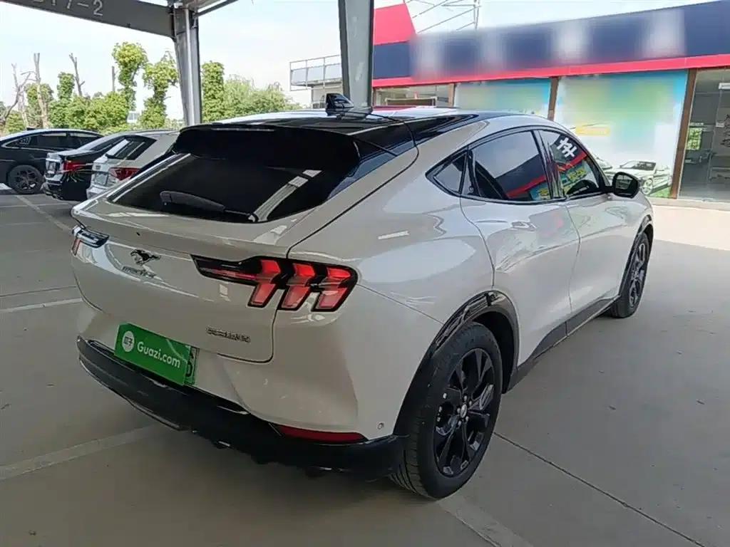 Ford eCar 2021 Model X Unlimited Rear-Wheel Drive Luxury Edition (Long Range) — миниатюра 7