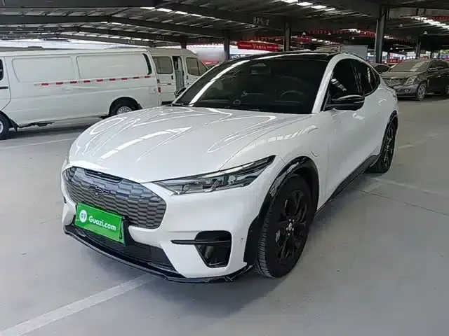 Ford eCar 2021 Model X Unlimited Rear-Wheel Drive Luxury Edition (Long Range)