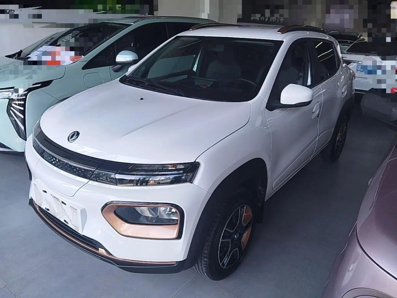Dongfeng NAMMI BOX 2022 Champion Edition Light Wind Version 201KM Standard Model — миниатюра 1