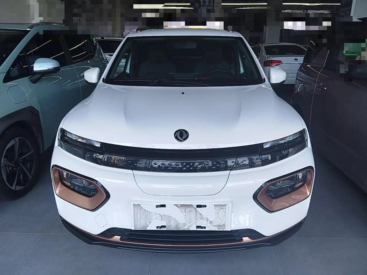 Dongfeng NAMMI BOX 2022 Champion Edition Light Wind Version 201KM Standard Model — миниатюра 2