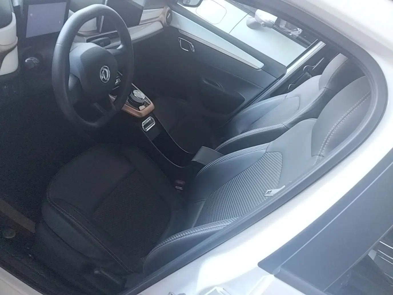 Dongfeng NAMMI BOX 2022 Champion Edition Light Wind Version 201KM Standard Model — миниатюра 17