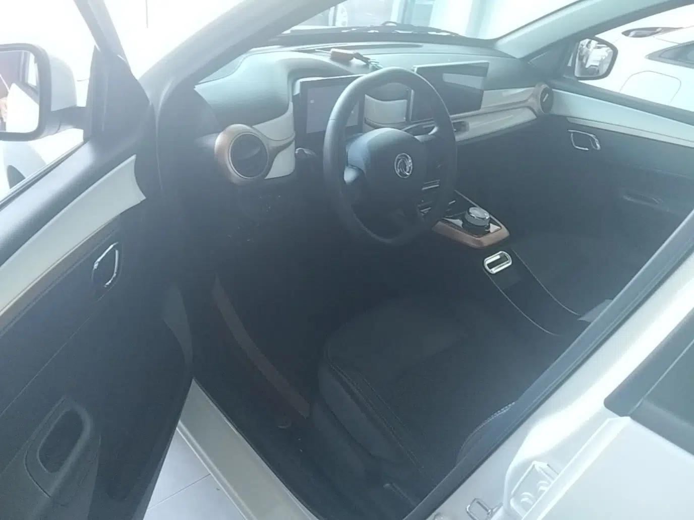 Dongfeng NAMMI BOX 2022 Champion Edition Light Wind Version 201KM Standard Model — миниатюра 18