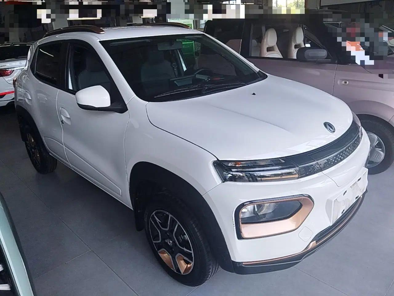 Dongfeng NAMMI BOX 2022 Champion Edition Light Wind Version 201KM Standard Model — миниатюра 3