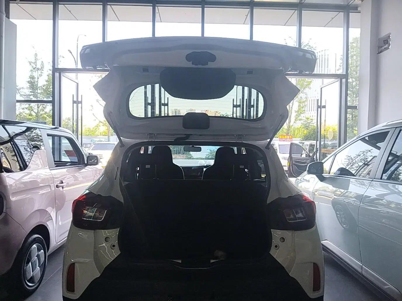 Dongfeng NAMMI BOX 2022 Champion Edition Light Wind Version 201KM Standard Model — миниатюра 22