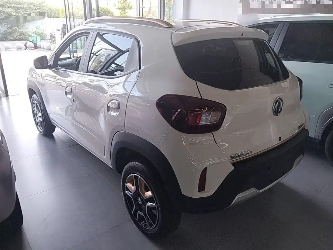 Dongfeng NAMMI BOX 2022 Champion Edition Light Wind Version 201KM Standard Model — миниатюра 4
