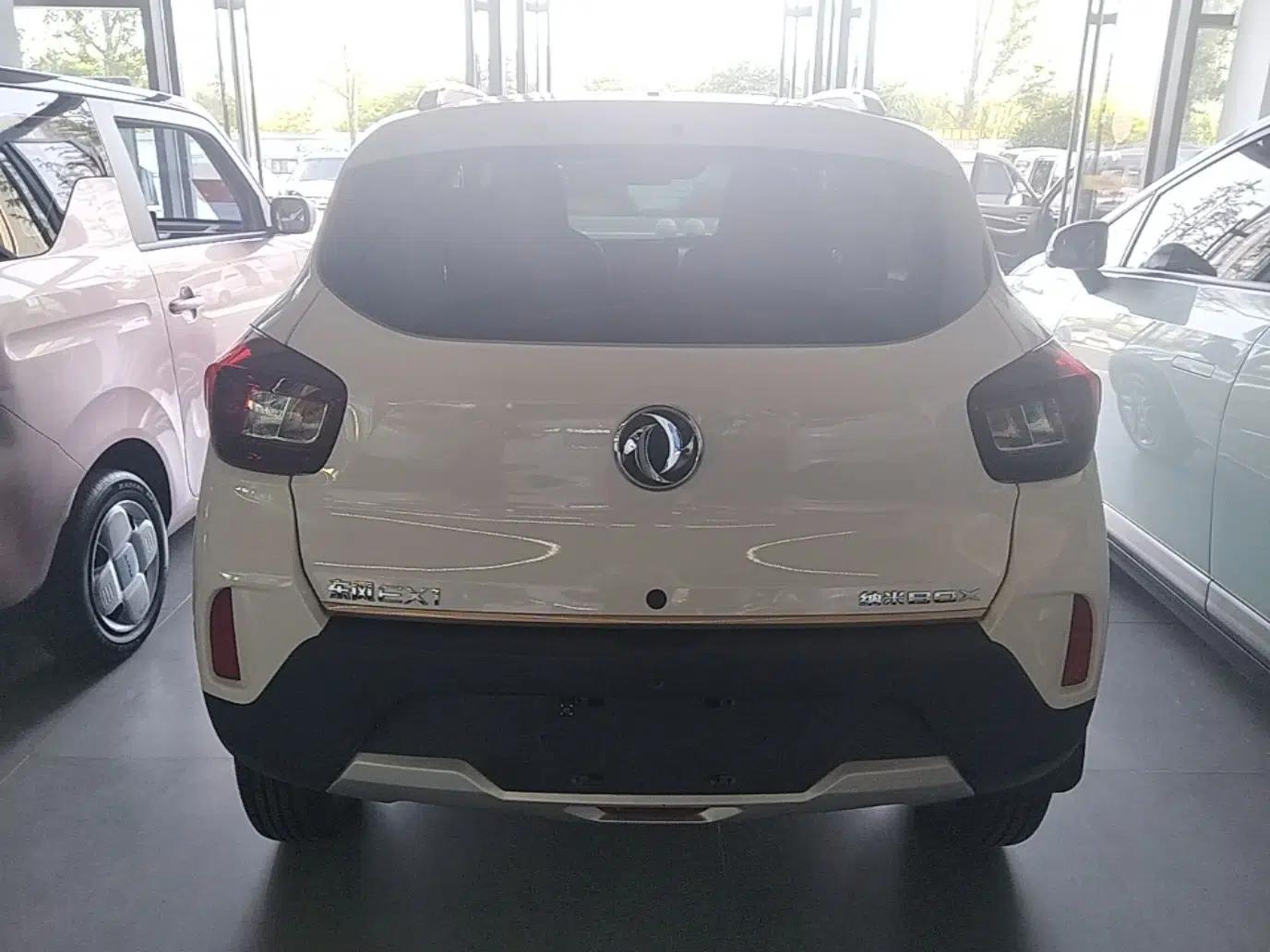 Dongfeng NAMMI BOX 2022 Champion Edition Light Wind Version 201KM Standard Model — миниатюра 5