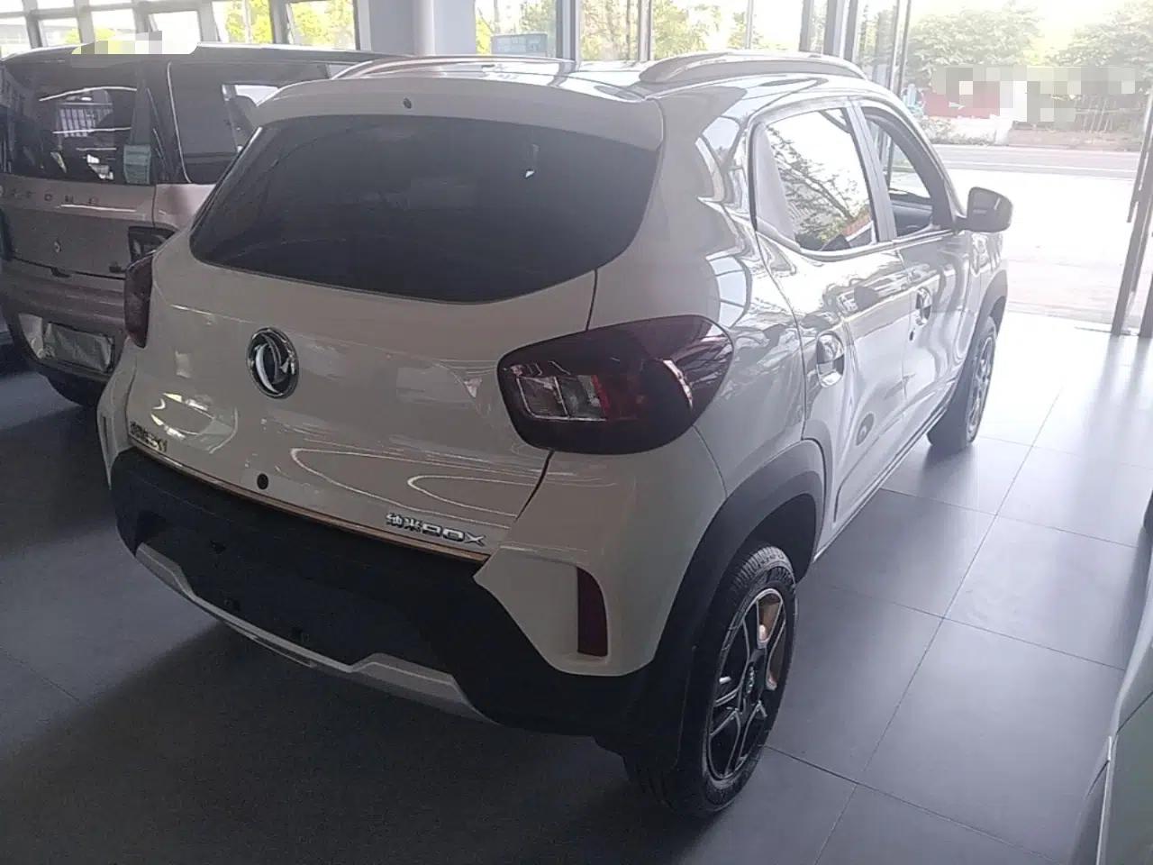 Dongfeng NAMMI BOX 2022 Champion Edition Light Wind Version 201KM Standard Model — миниатюра 6