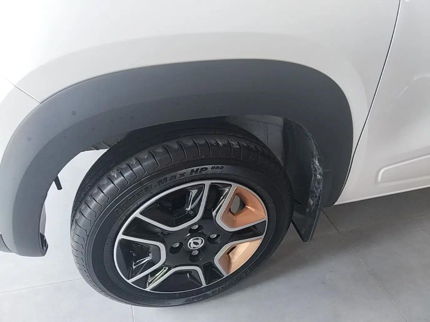 Dongfeng NAMMI BOX 2022 Champion Edition Light Wind Version 201KM Standard Model — миниатюра 10