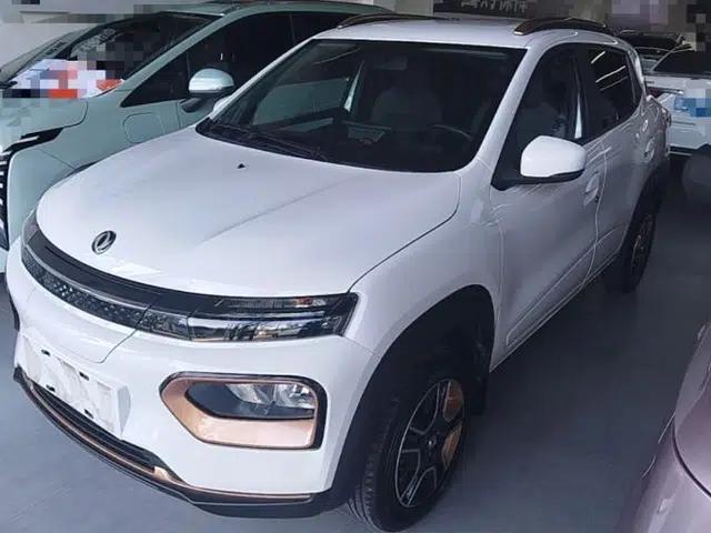 Dongfeng NAMMI BOX 2022 Champion Edition Light Wind Version 201KM Standard Model
