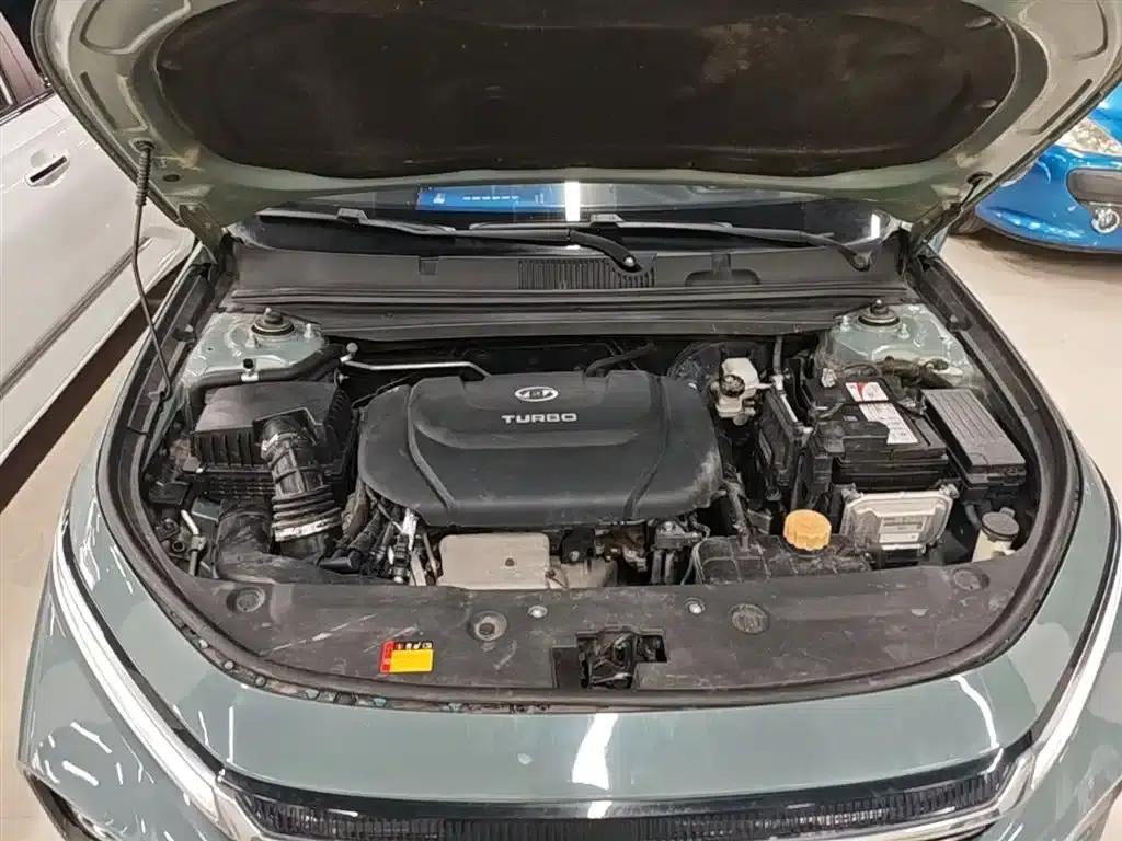 Baojun Valli 2021 1.5T Nagqu Fanxing CVT Flagship Edition — миниатюра 20