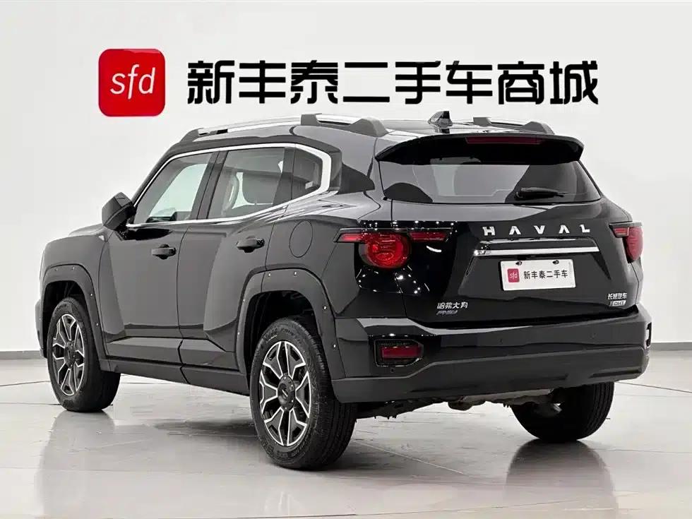 Haval Big Dog PLUS New Energy 2023 DHT-PHEV 105km Trendy Electric Edition Plus — миниатюра 6