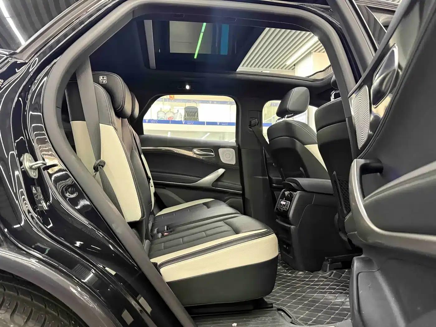 Denza X 2020 PHEV Sport Edition — миниатюра 10