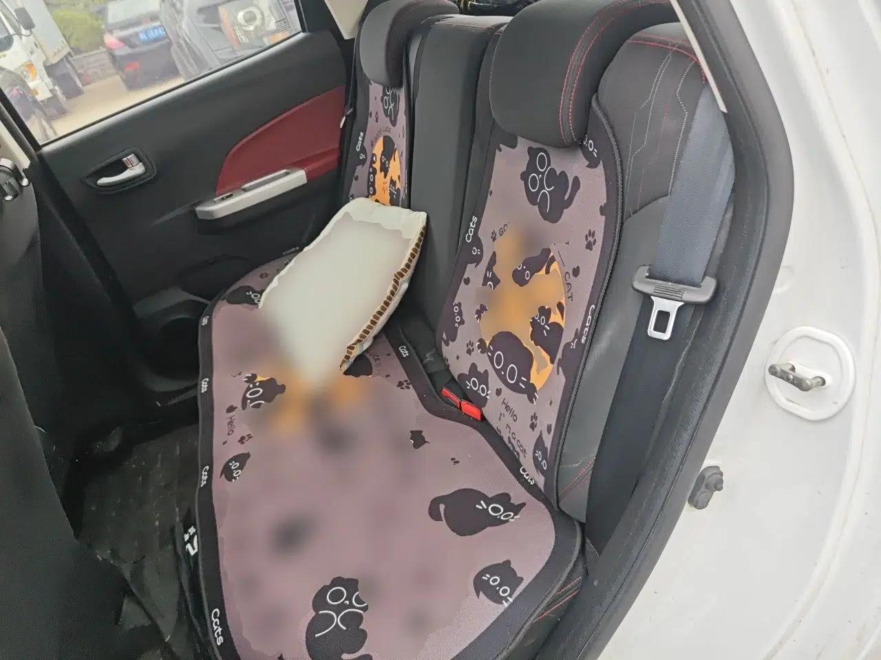 CHANGAN Benni 2015 1.4L Manual Sunroof Version China V Standard — миниатюра 17