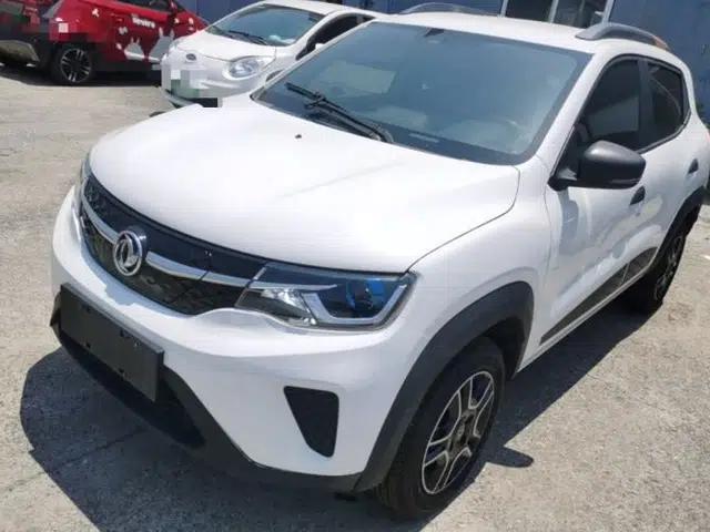 Dongfeng NAMMI EX1 2022 Revised PRO Enjoyment Version
