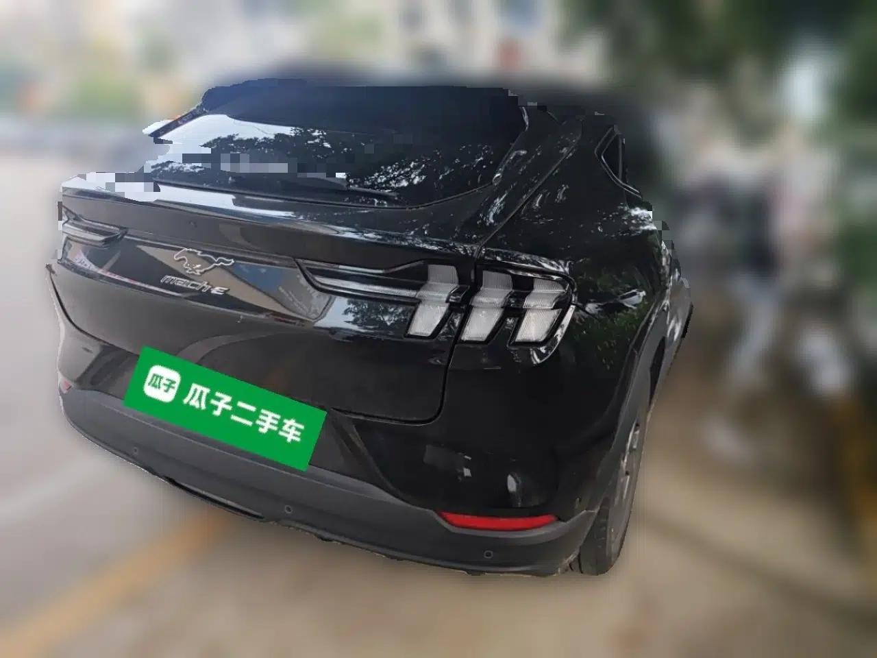 Ford Mustang Mach-E 2021 Wujiang Rear-Drive Version (Long Range) — миниатюра 6