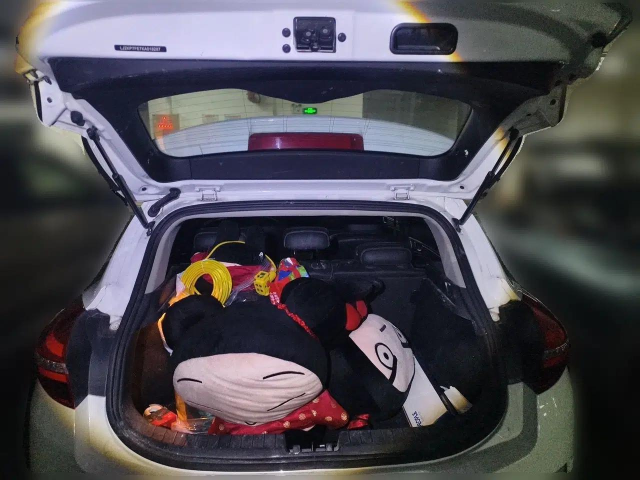 Geely Auto Emgrand GSe 2019 500 ZhenShang Edition — миниатюра 19