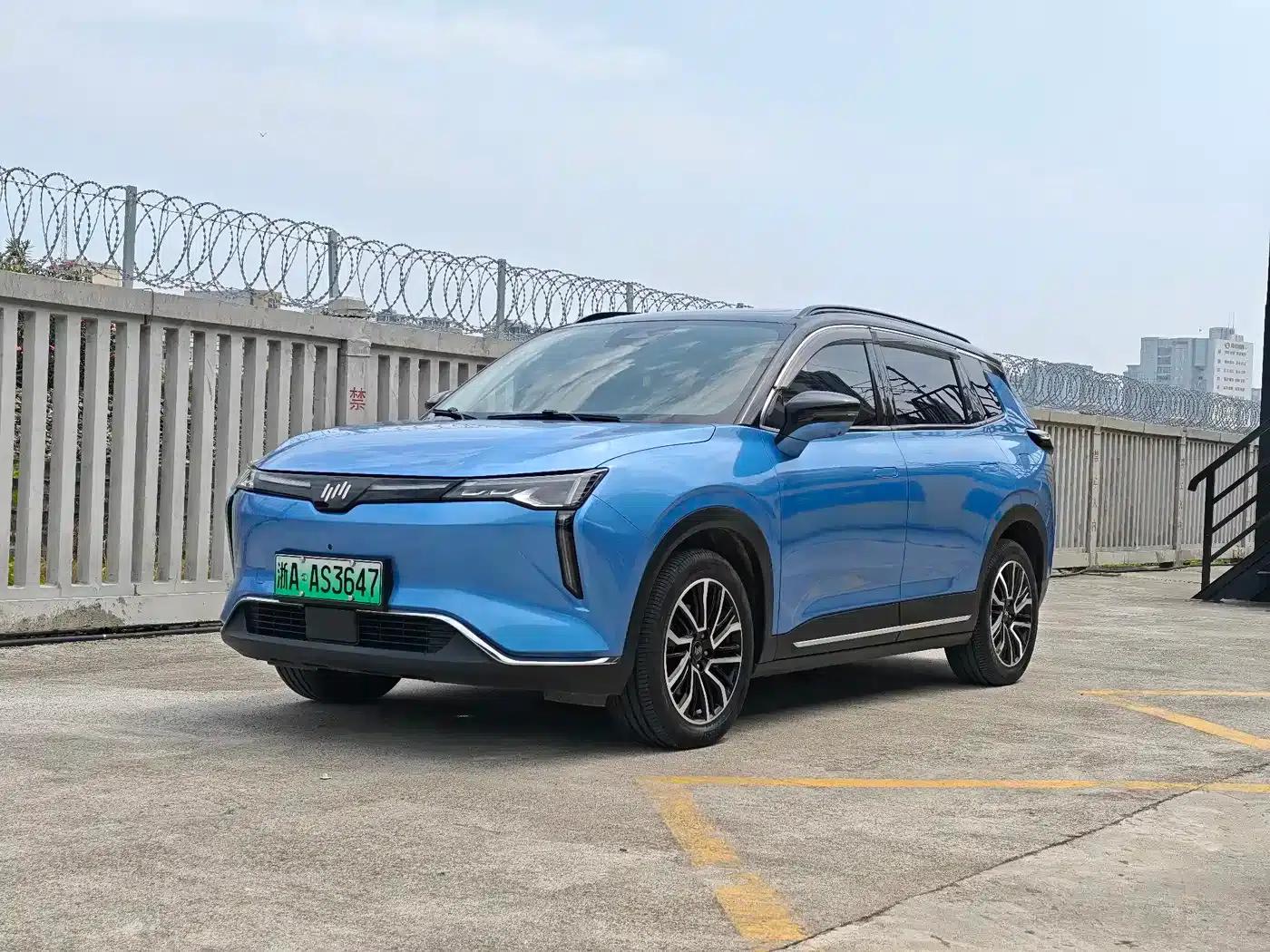 Weltmeister W6 2021 520km ACE Intelligent Edition — миниатюра 1