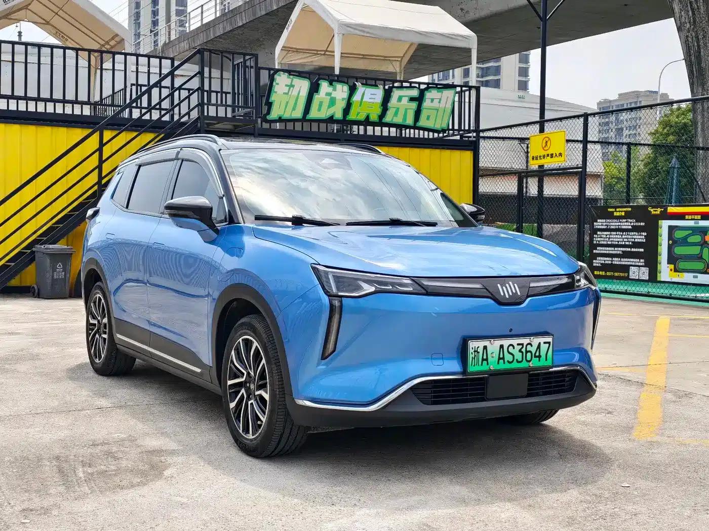 Weltmeister W6 2021 520km ACE Intelligent Edition — миниатюра 3