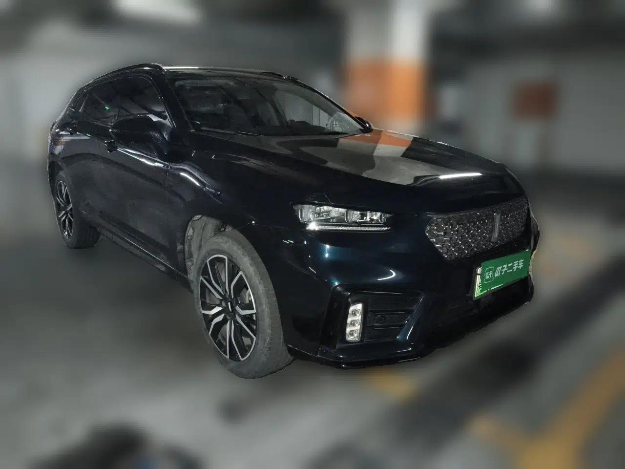 Wey VV7 New Energy 2020 PHEV 2.0T Flagship Model — миниатюра 3