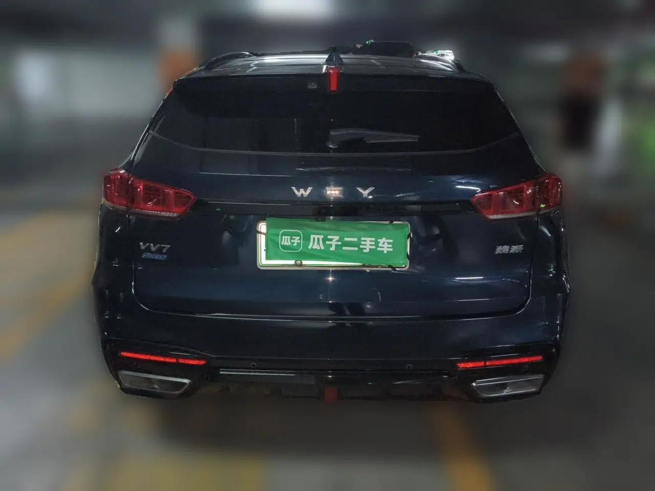 Wey VV7 New Energy 2020 PHEV 2.0T Flagship Model — миниатюра 5