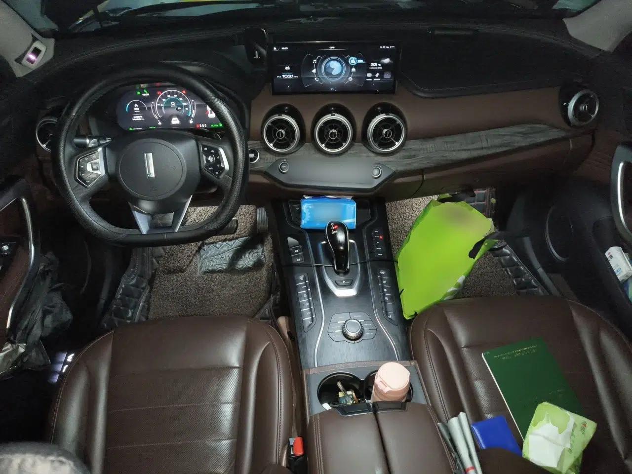Wey VV7 New Energy 2020 PHEV 2.0T Flagship Model — миниатюра 9