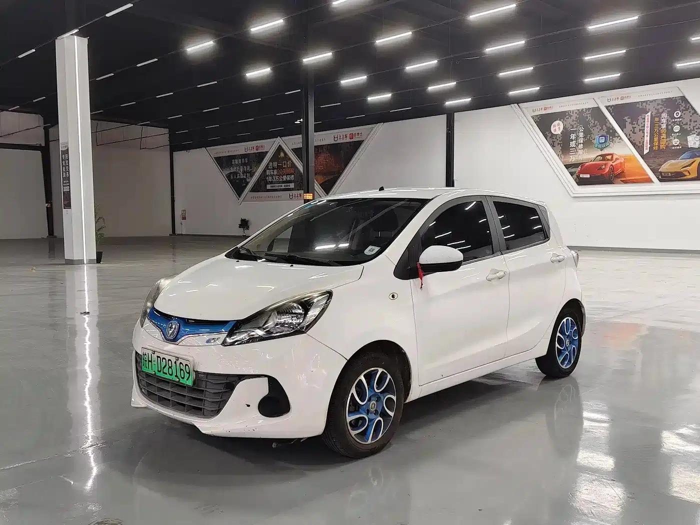 Benben EV 2018 EV260 Standard Edition — миниатюра 1
