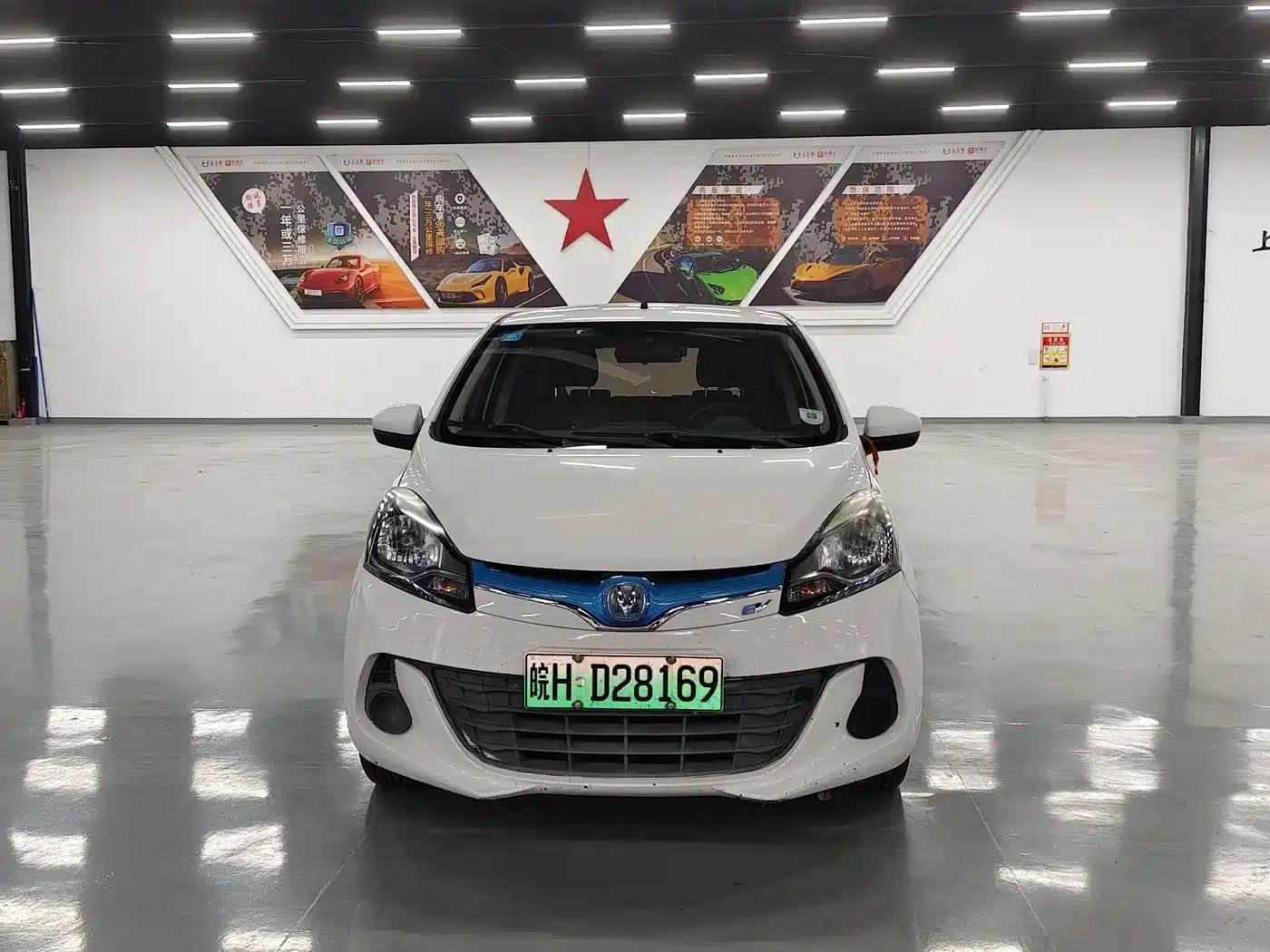 Benben EV 2018 EV260 Standard Edition — миниатюра 2