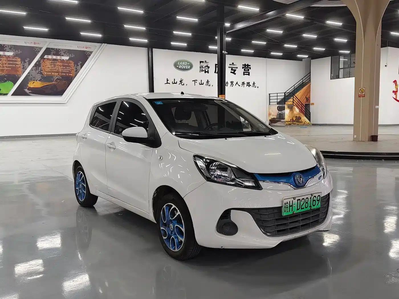 Benben EV 2018 EV260 Standard Edition — миниатюра 3
