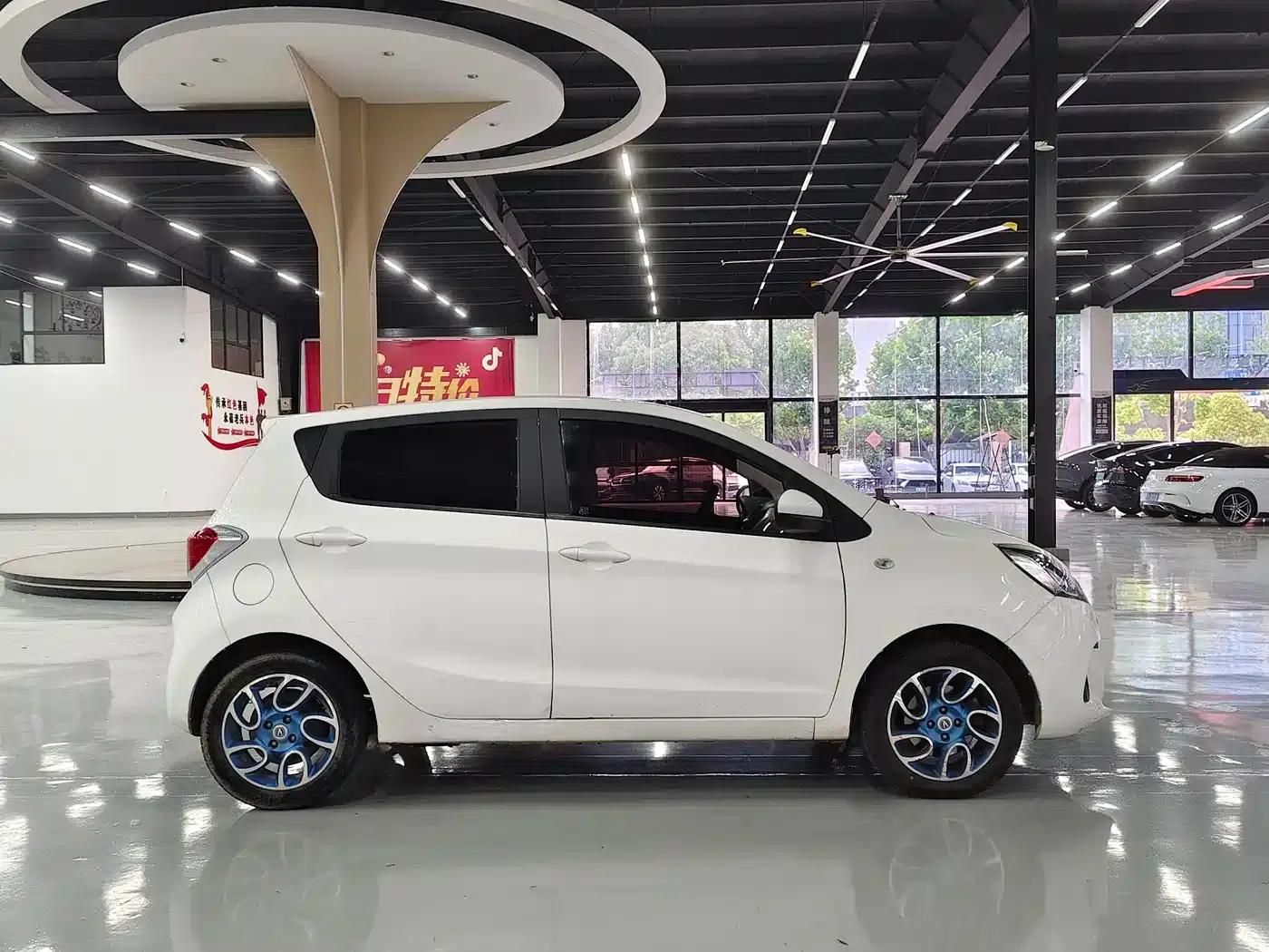 Benben EV 2018 EV260 Standard Edition — миниатюра 4