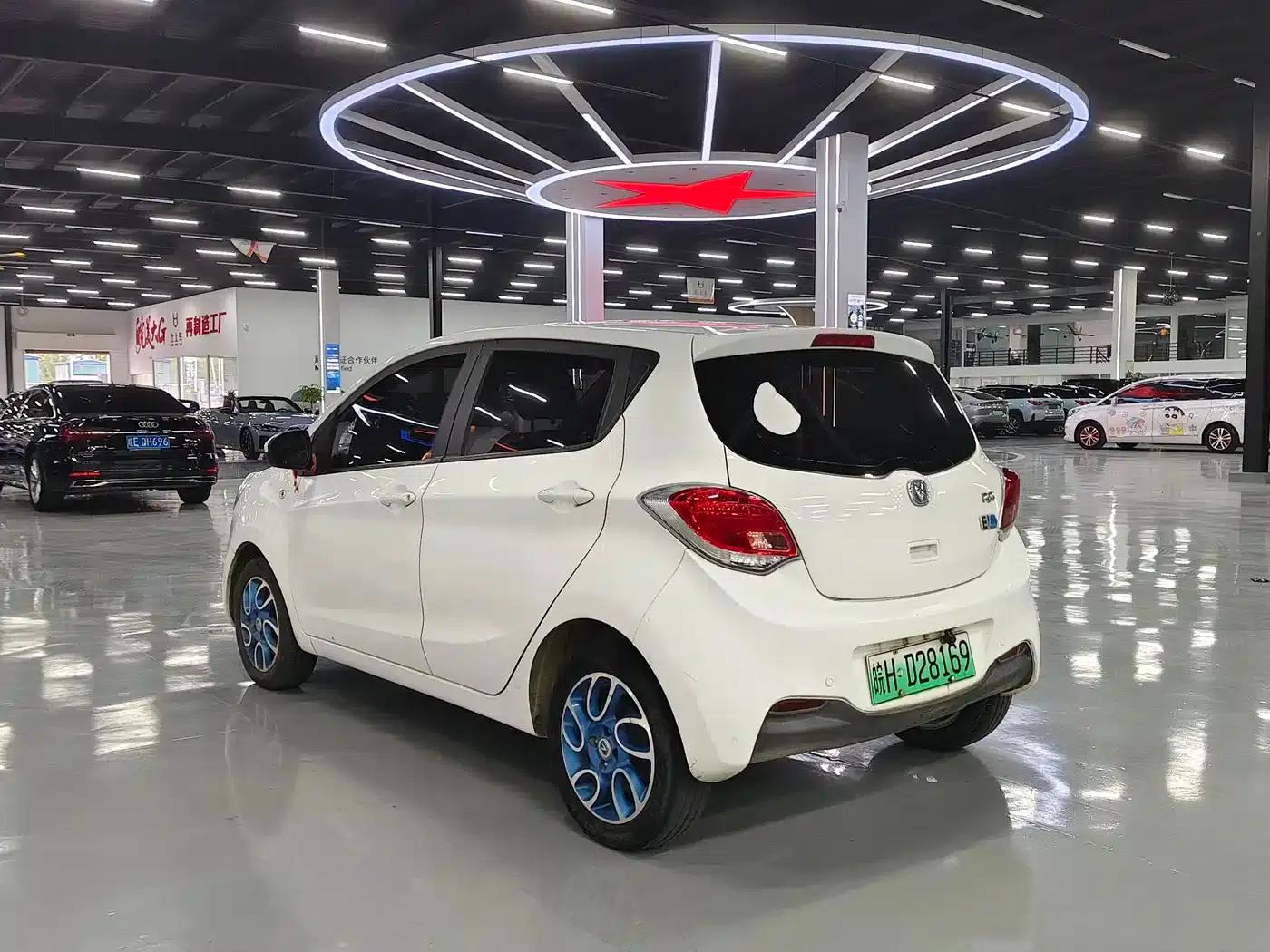 Benben EV 2018 EV260 Standard Edition — миниатюра 7